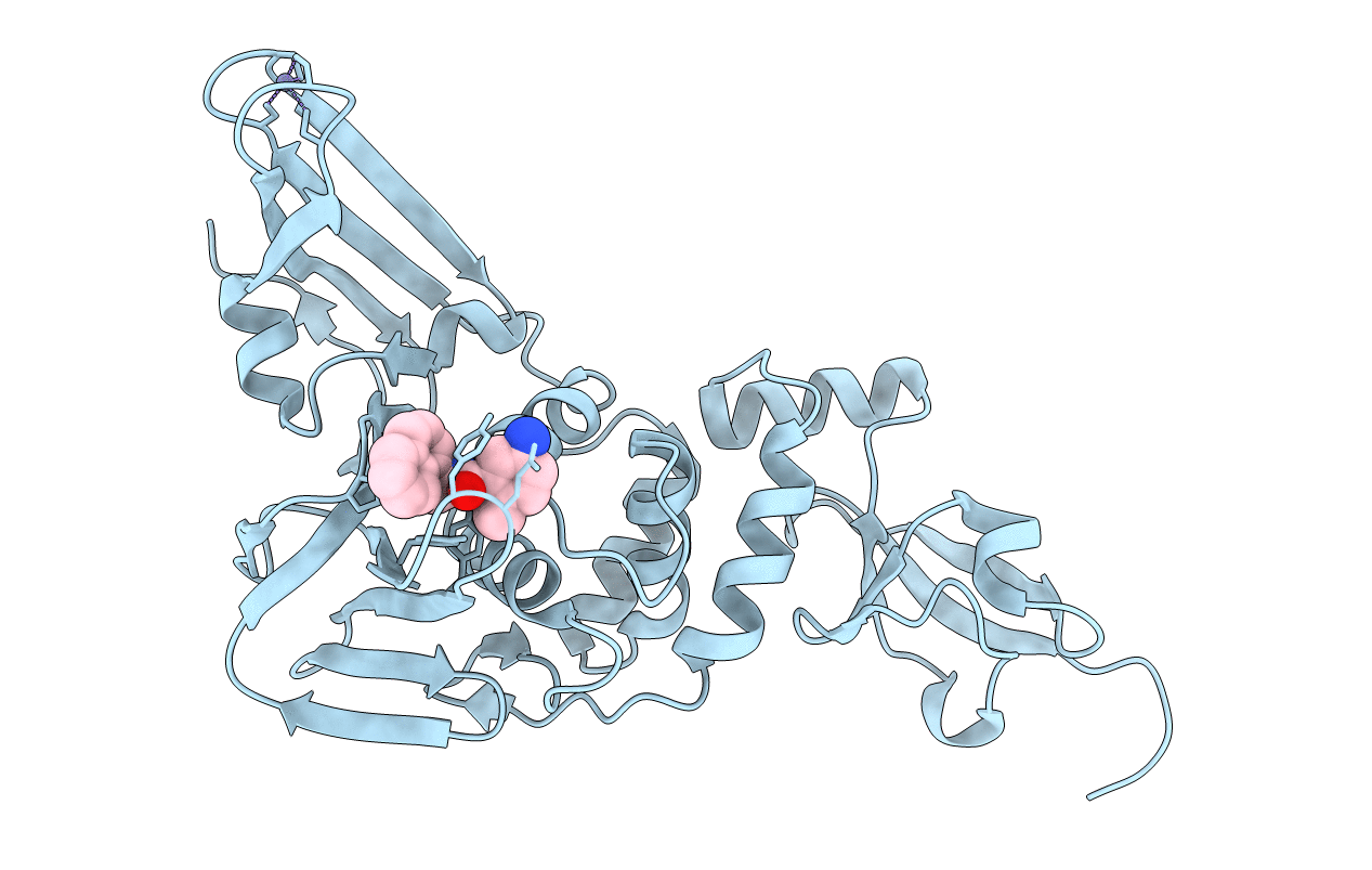 3E9S image