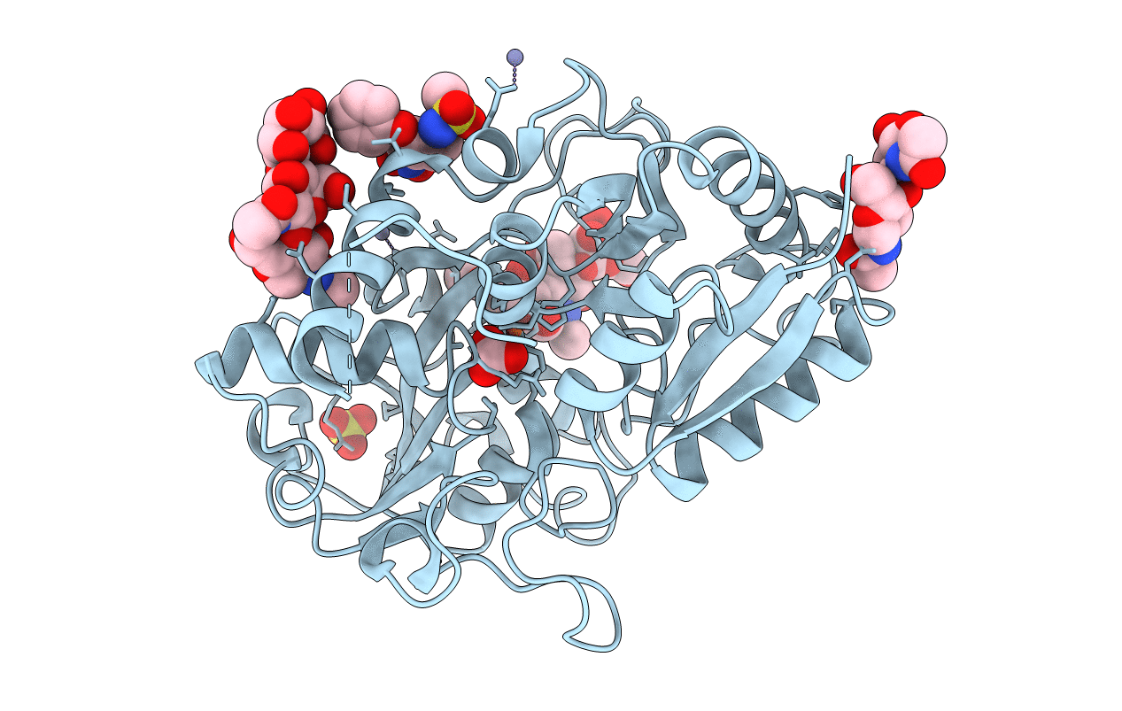 3E9X image