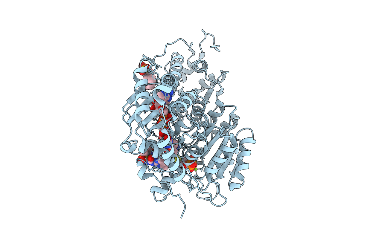 3E9Y image