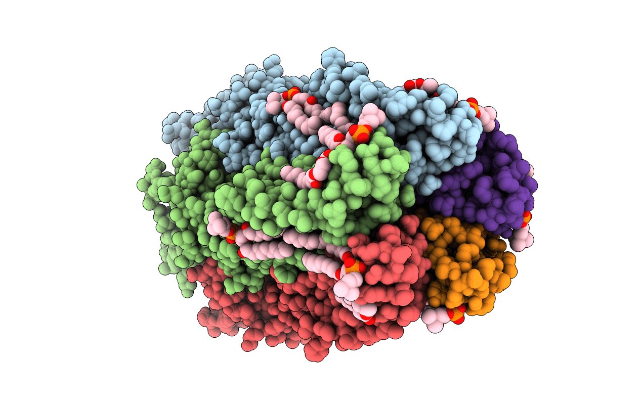 3EAM image