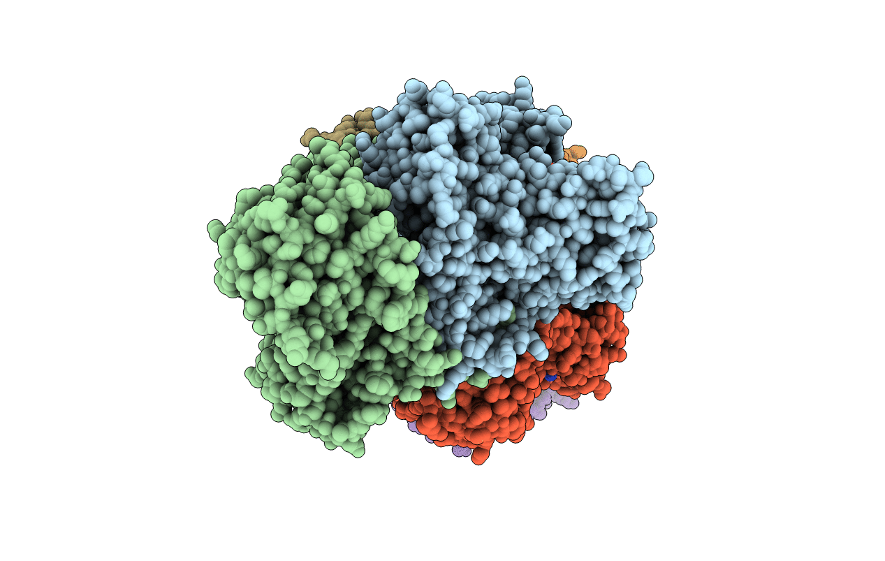 3EAN image