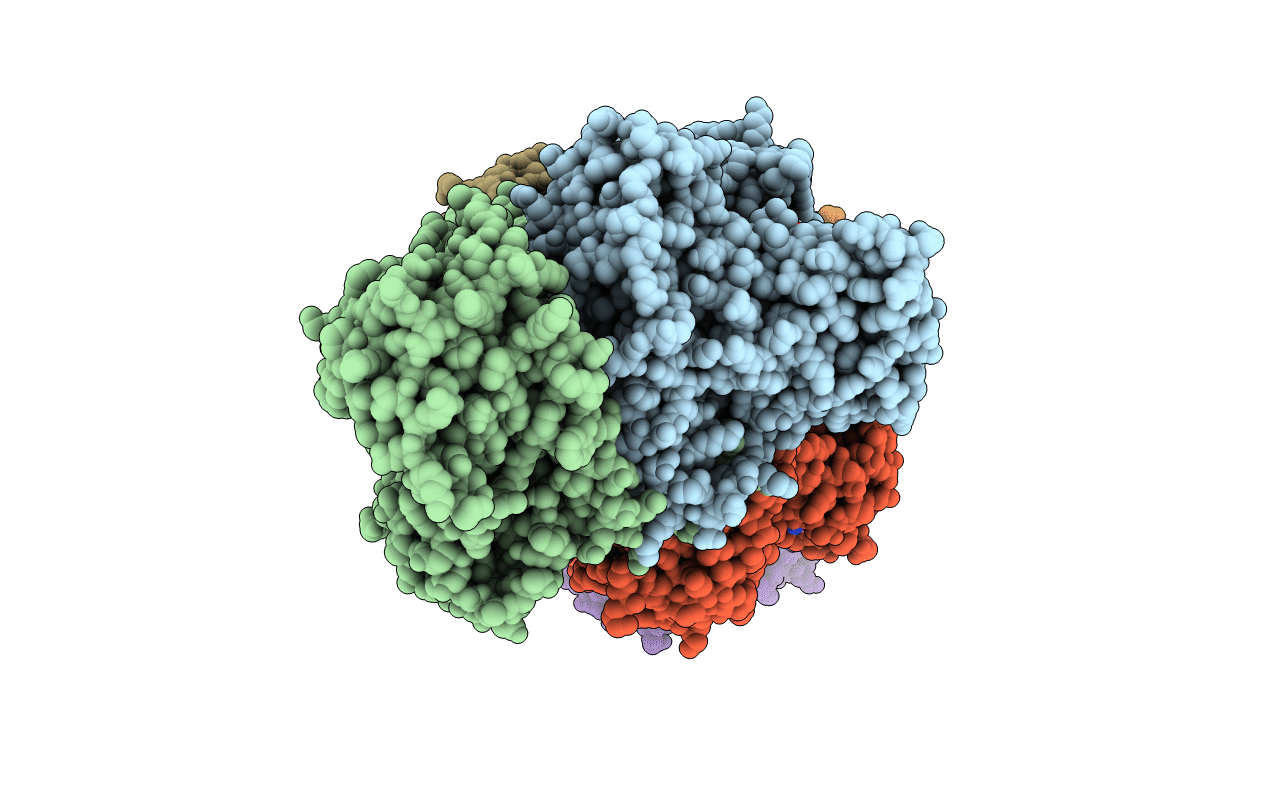 3EAO image