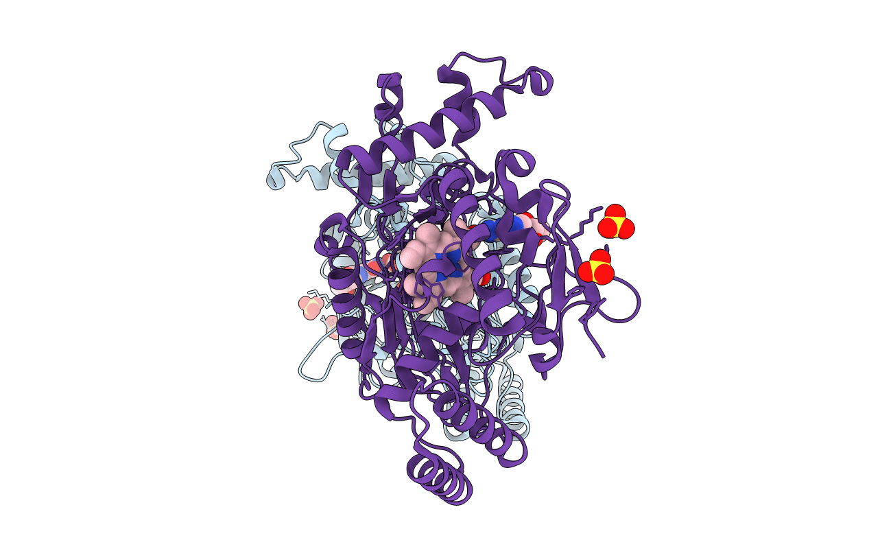 3EBD image