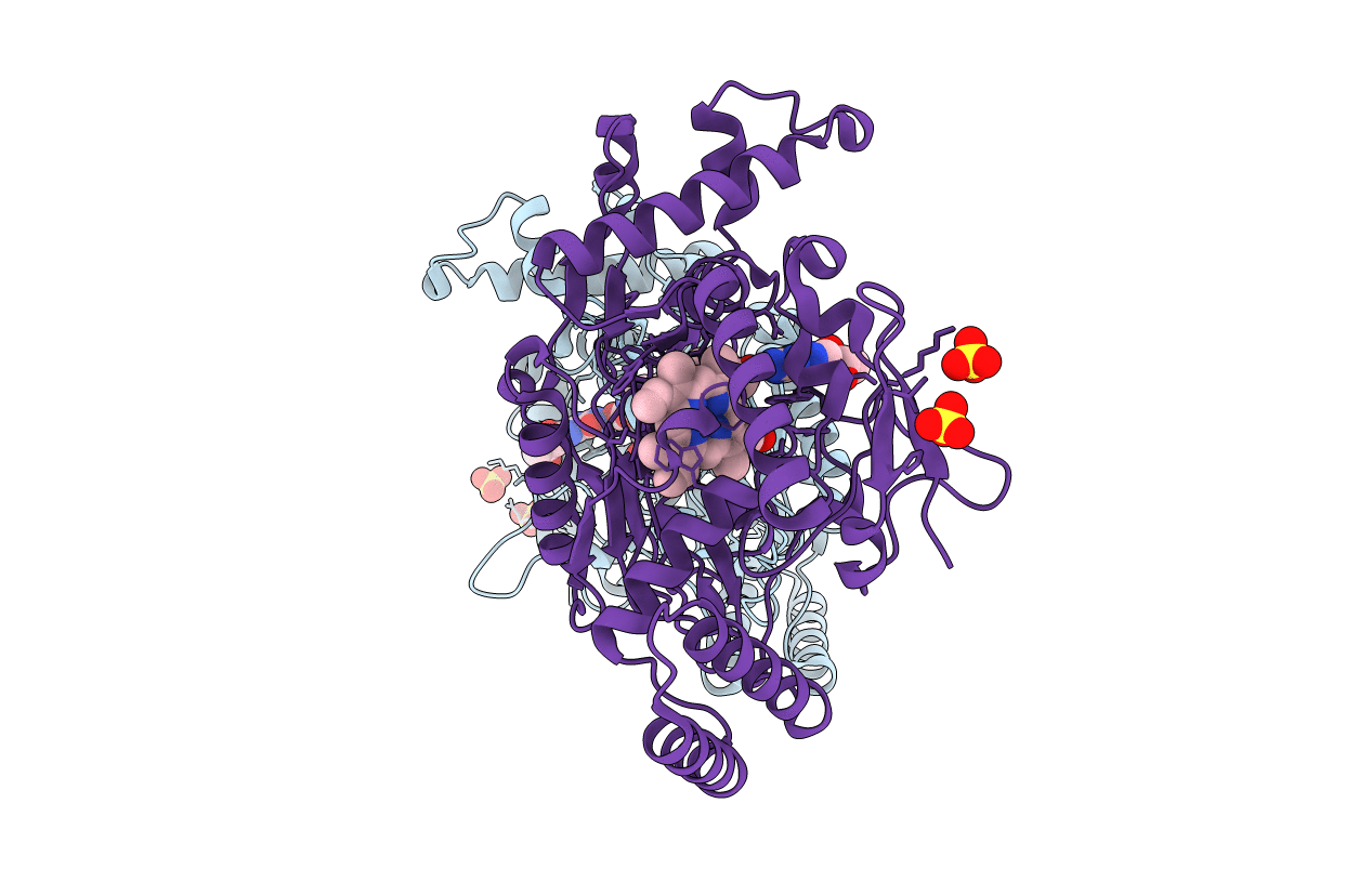 3EBF image