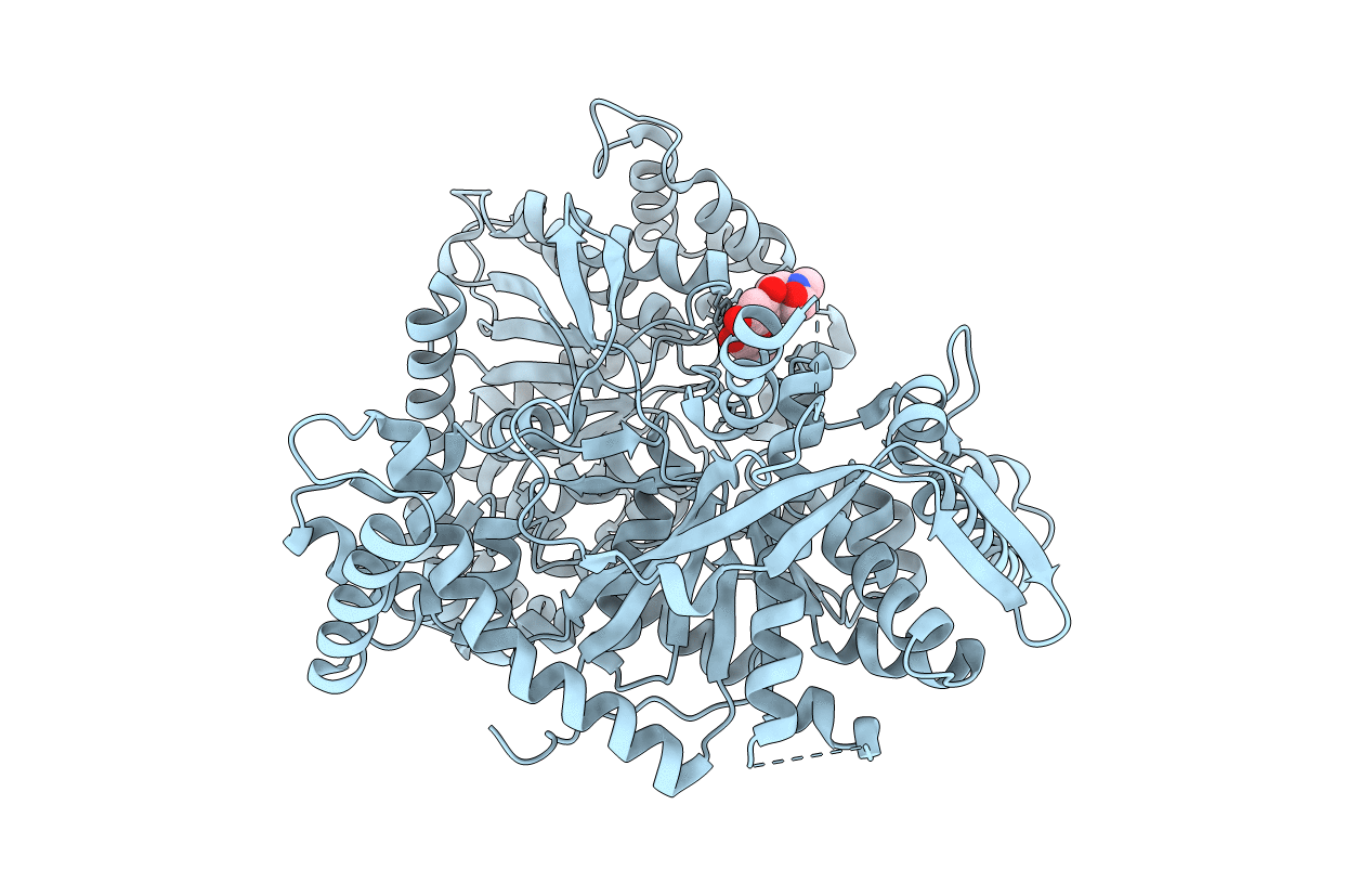 3EBP image