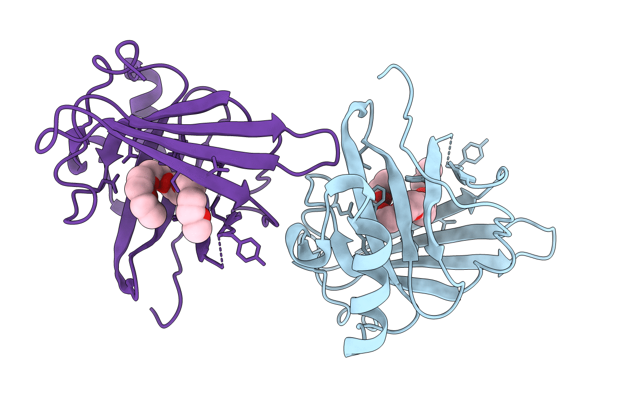 3EBW image