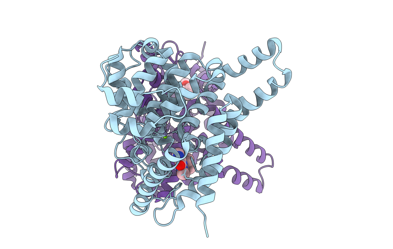 3ECN image