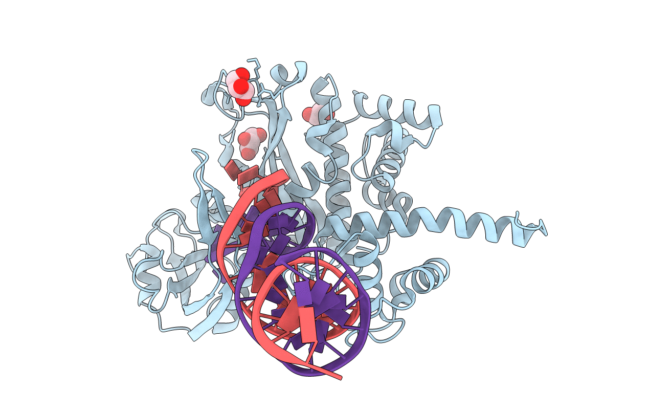 3ECP image