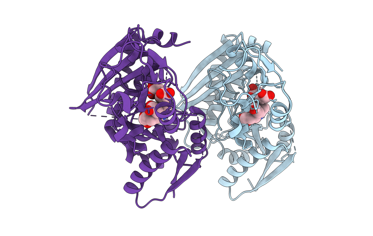 3ECR image