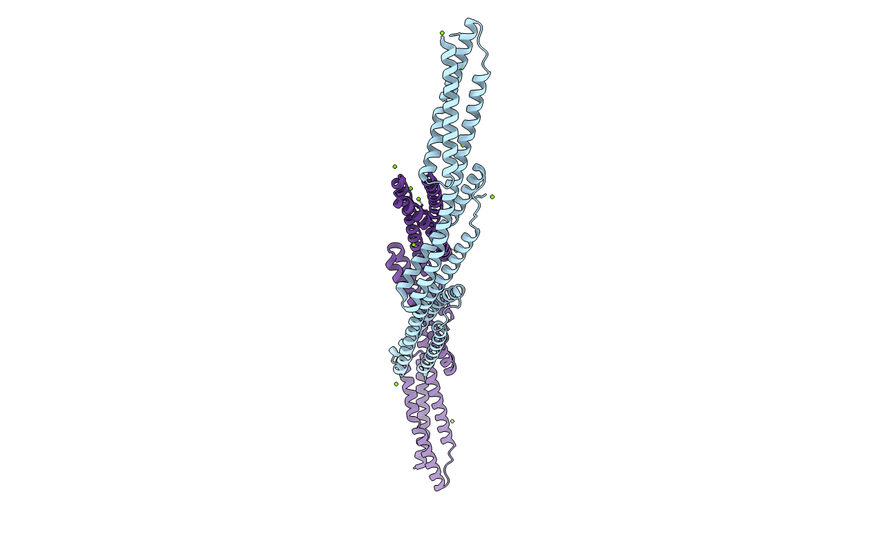3EDV image