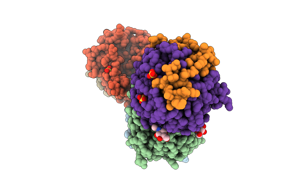 3EDX image