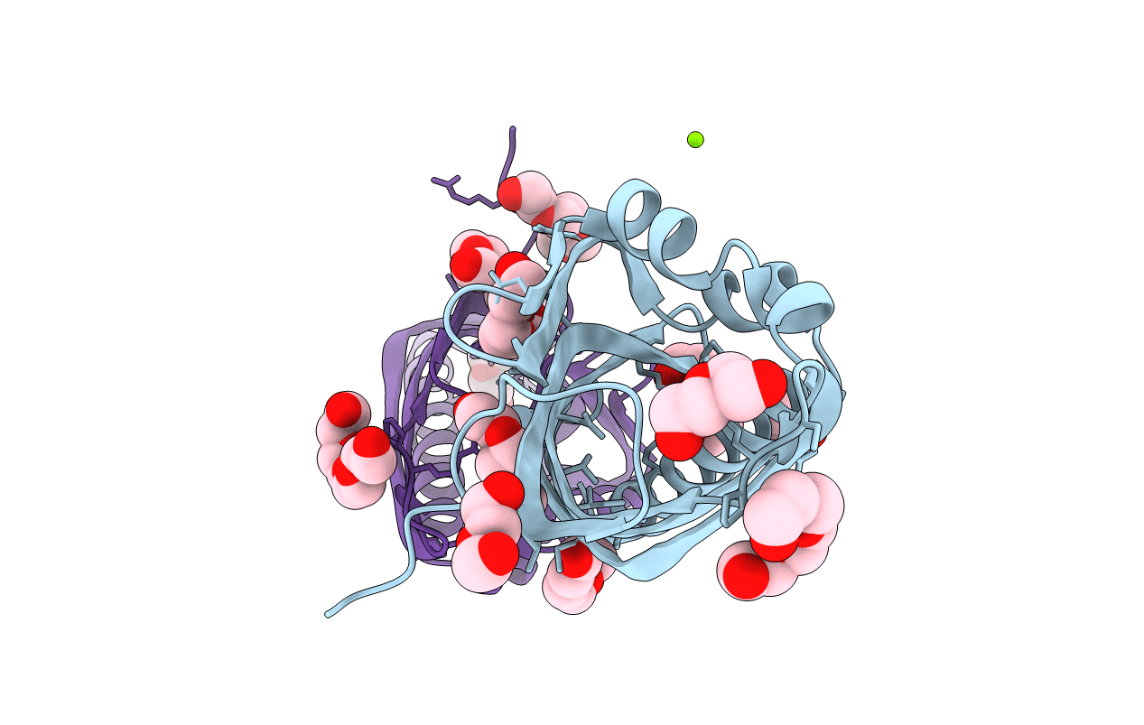 3EF8 image