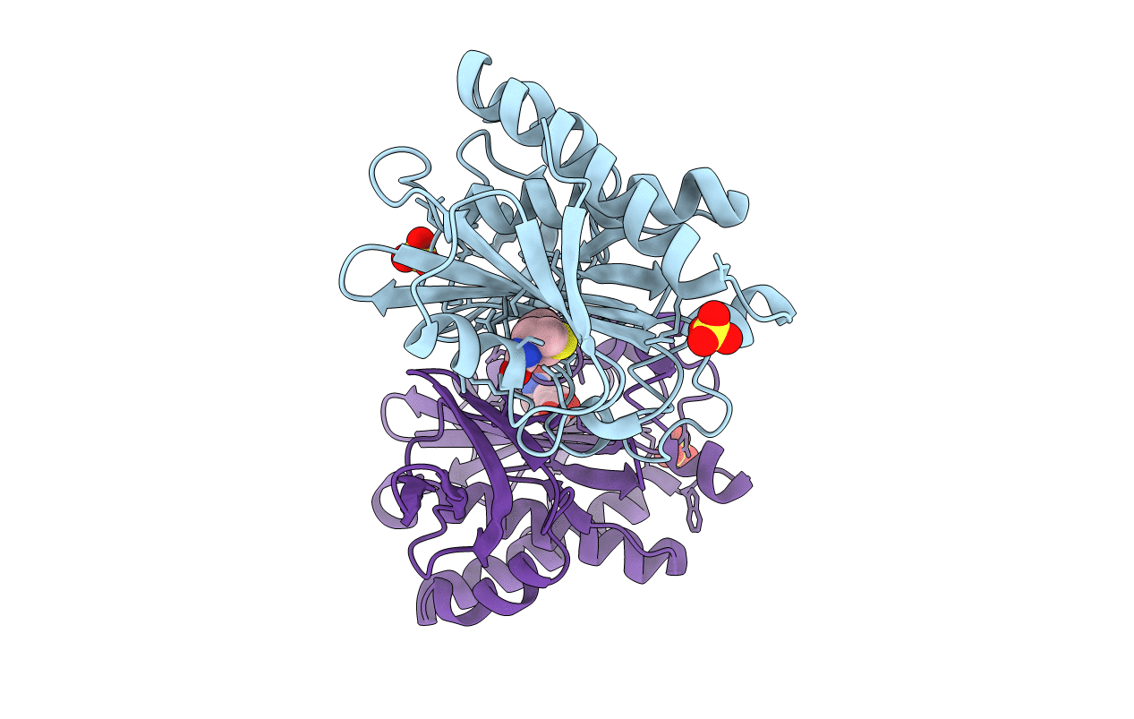 3EFR image