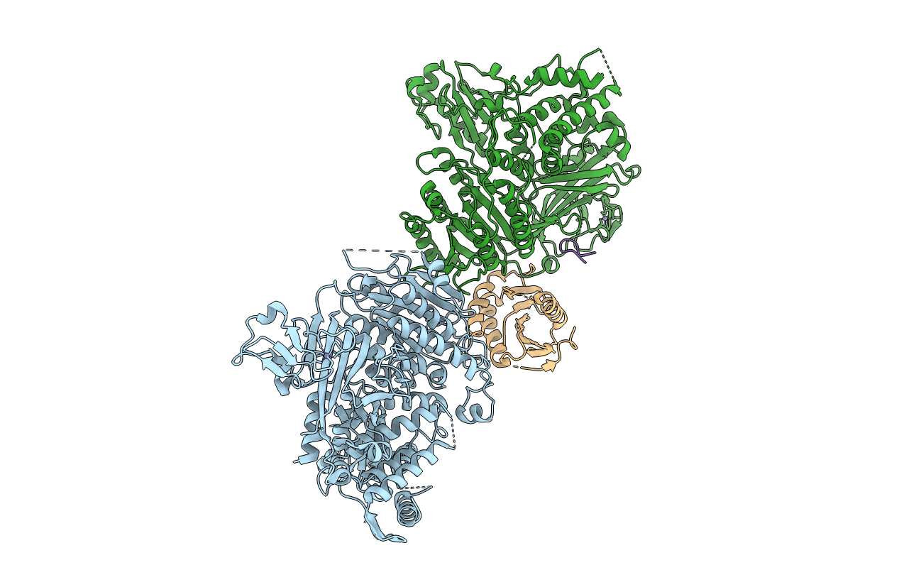 3EGD image