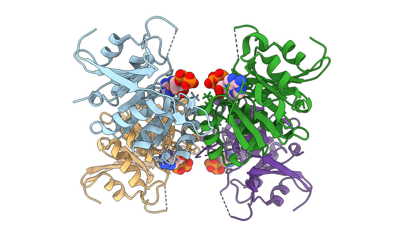 3EGI image