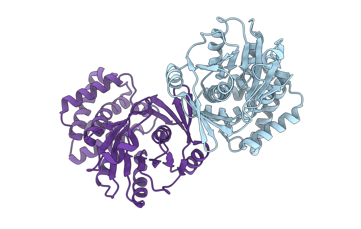 3EGO image