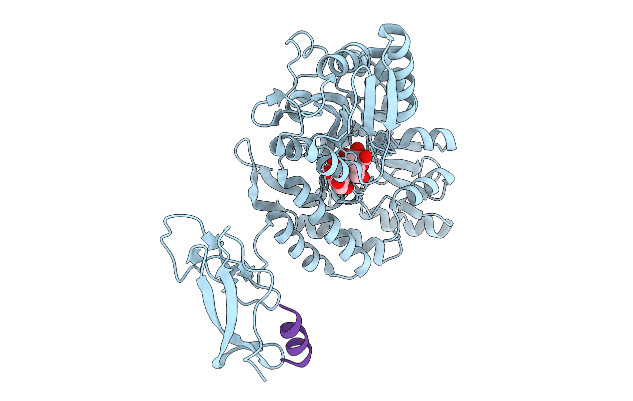 3EHT image