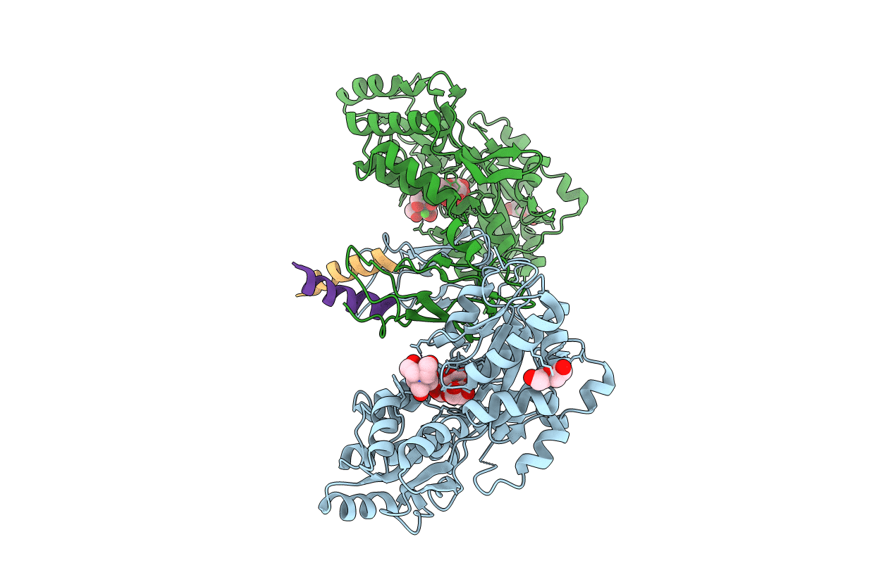 3EHU image