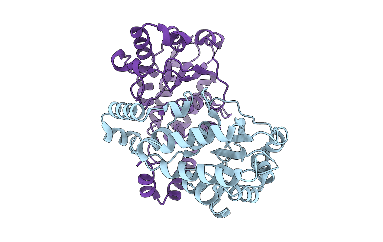 3EIR image
