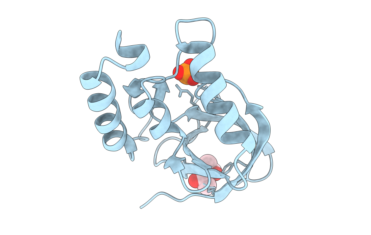 3eji image