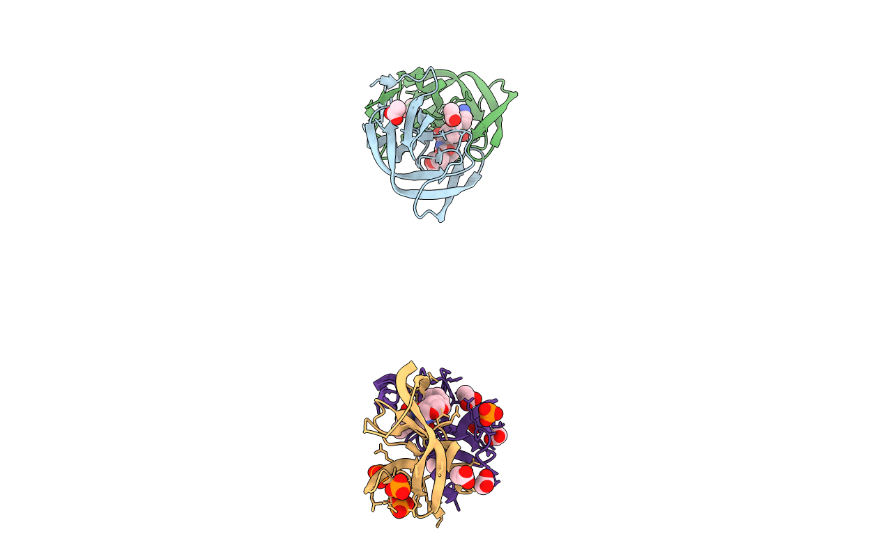 3EKT image