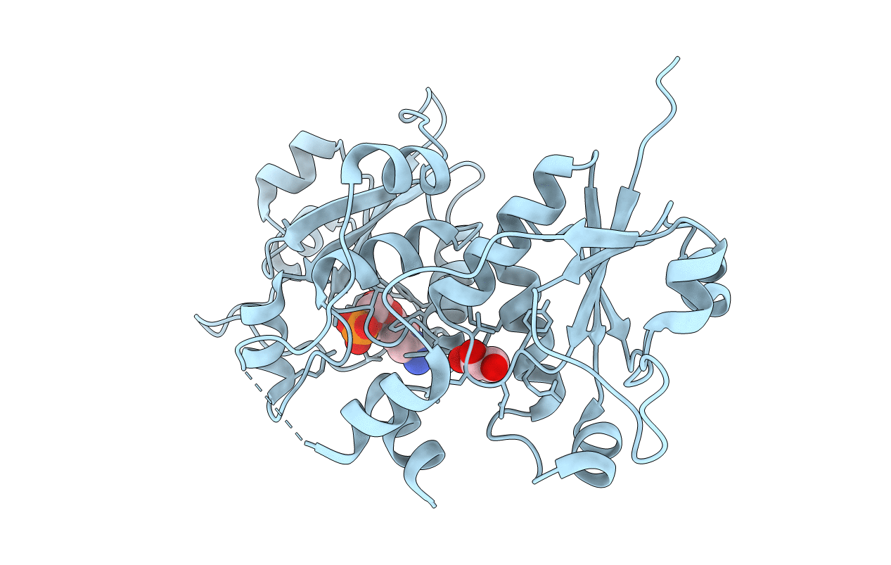 3ELB image