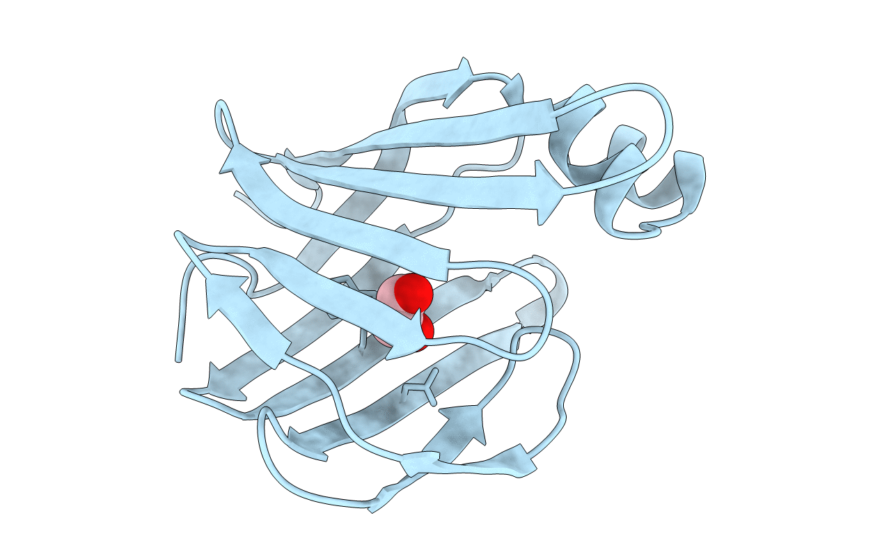 3ELX image