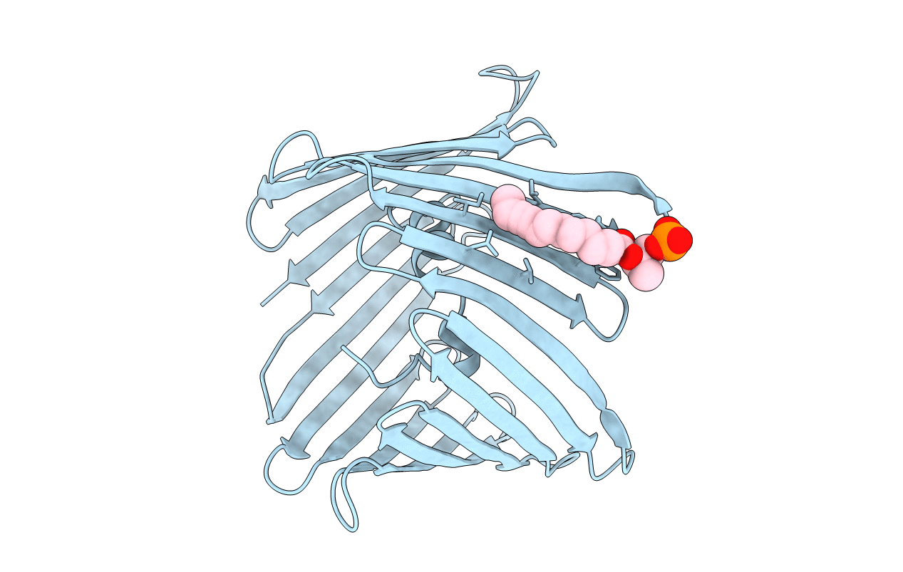 3EMN image