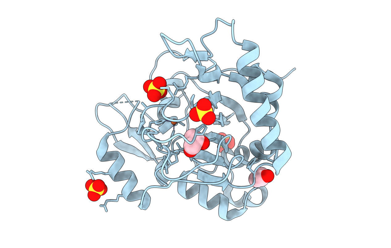 3EMR image