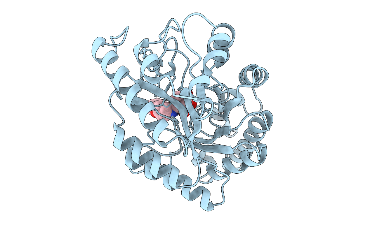 3EMZ image