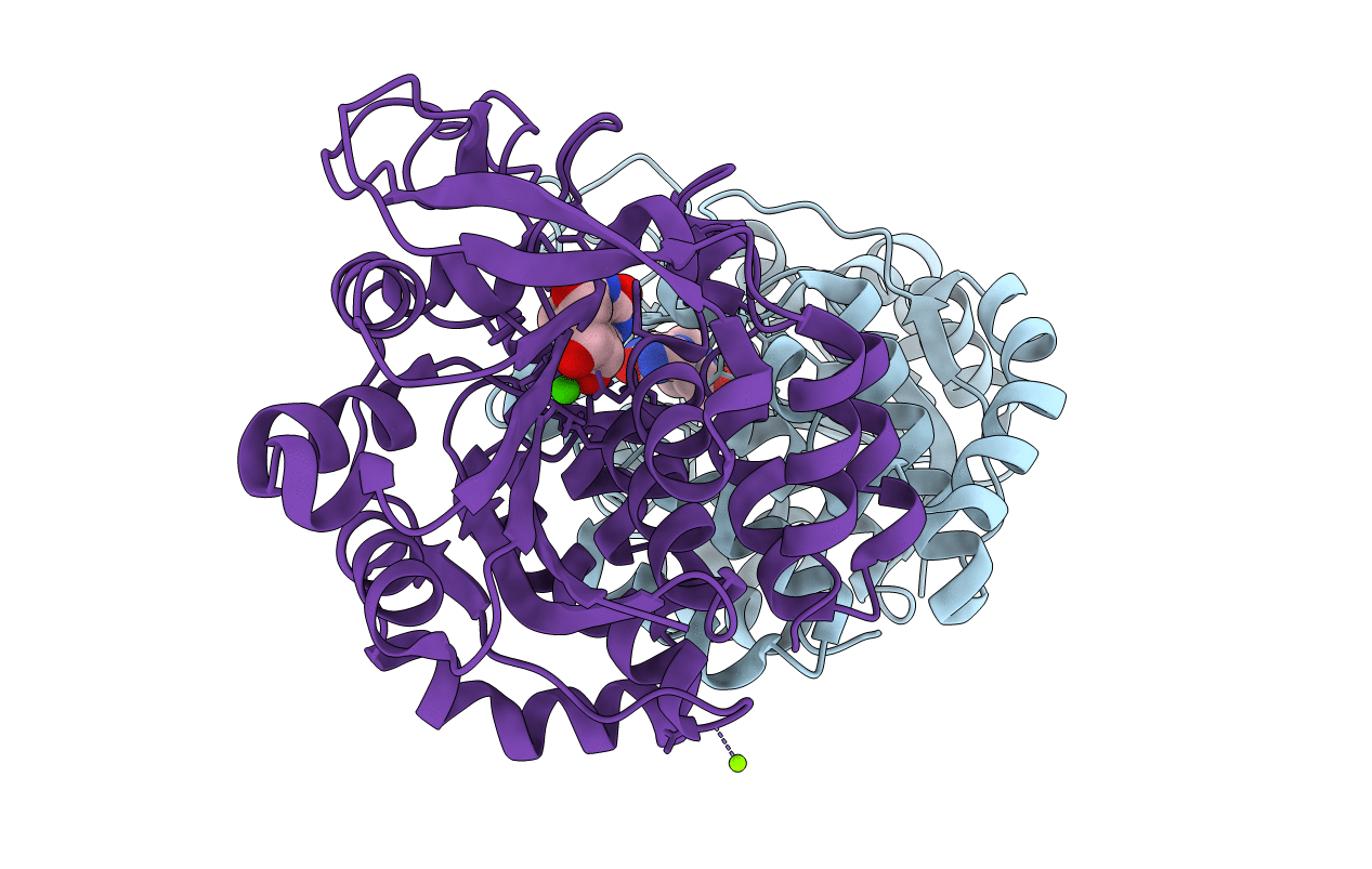 3EPW image