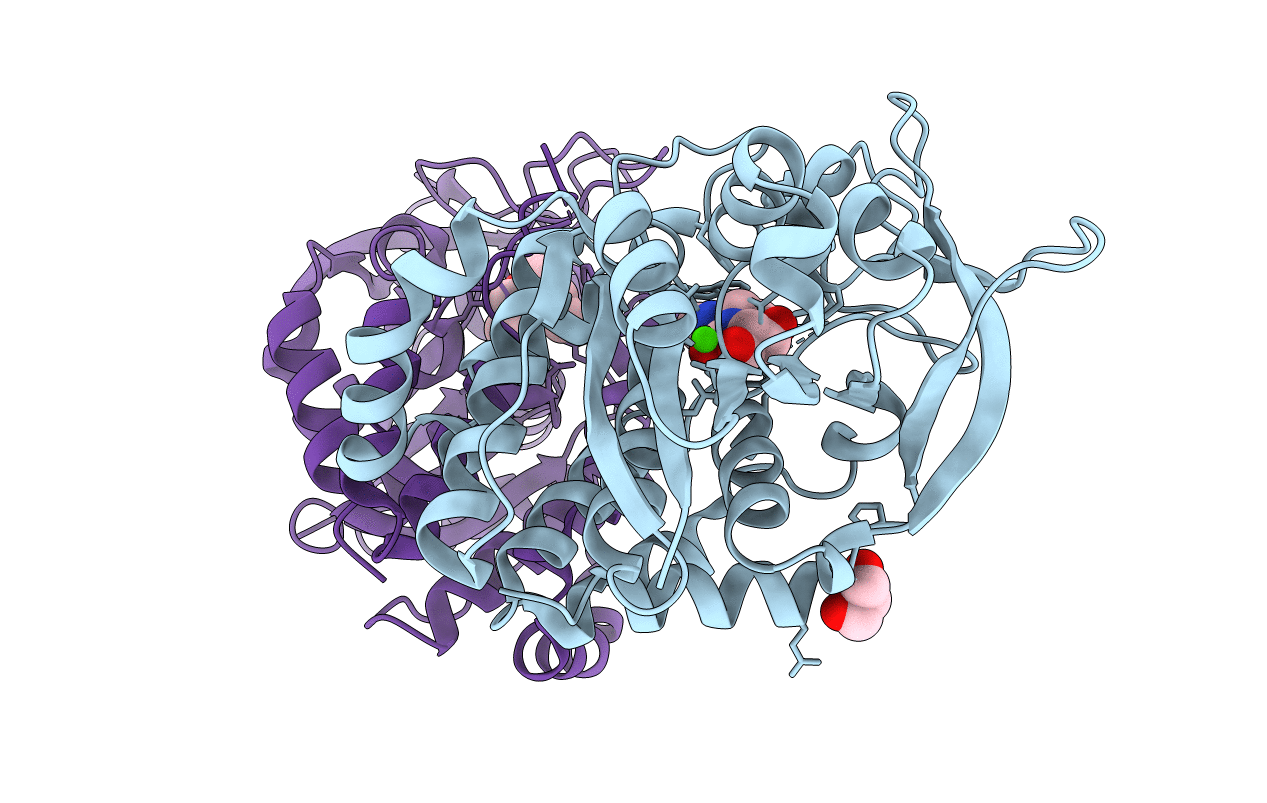 3EPX image