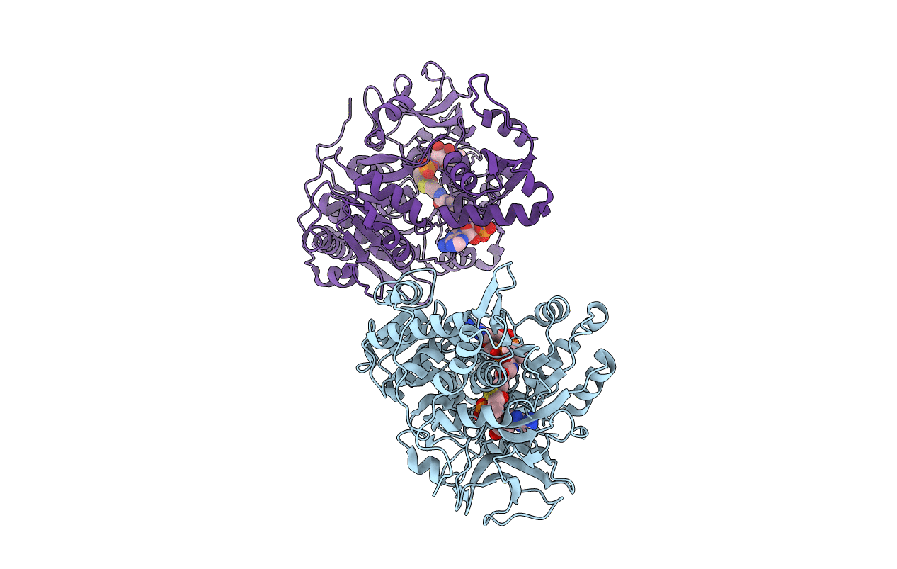 3EQ6 image