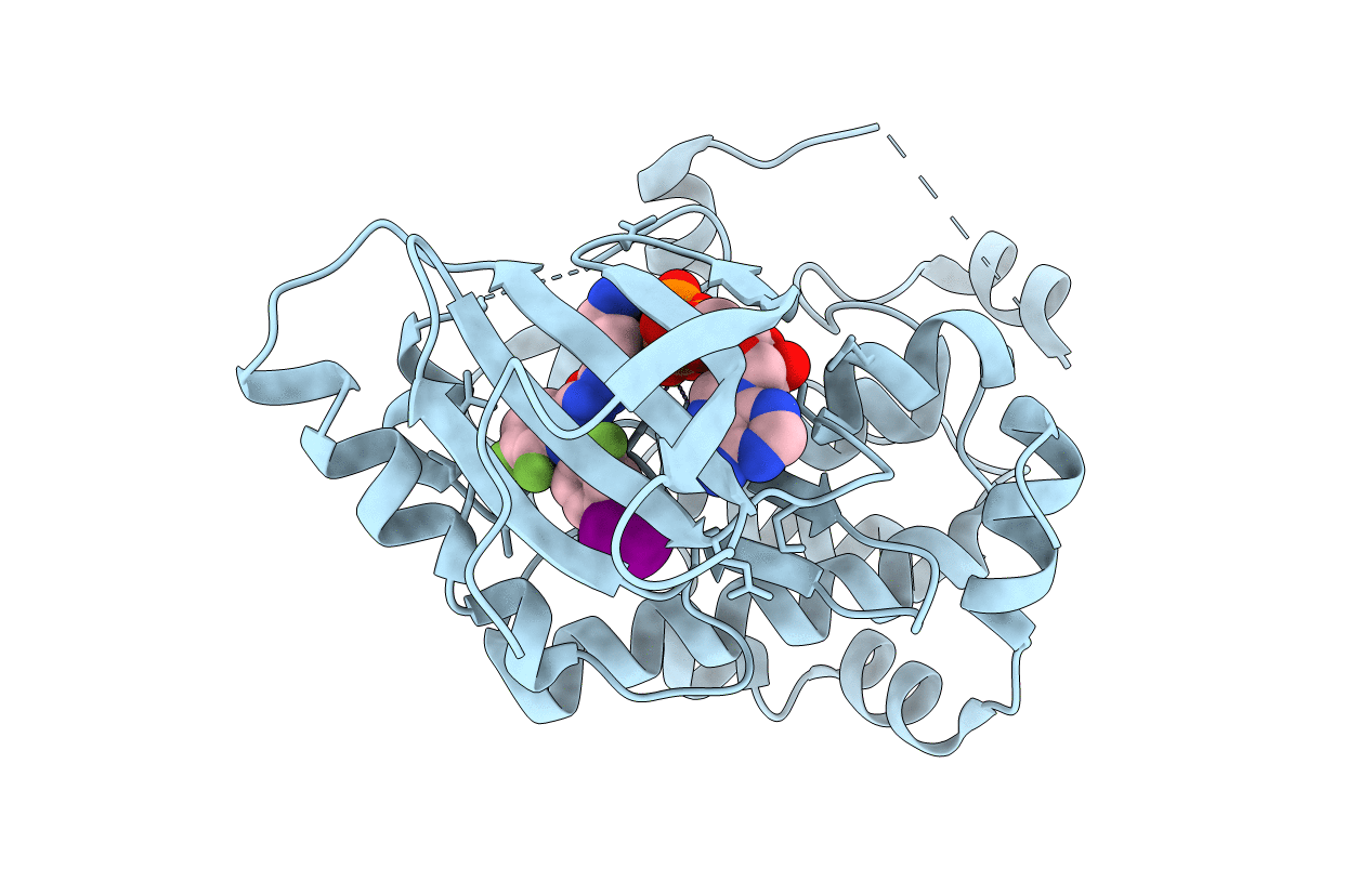 3EQB image