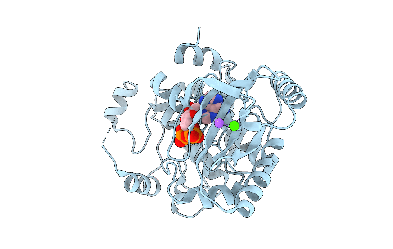 3EQI image