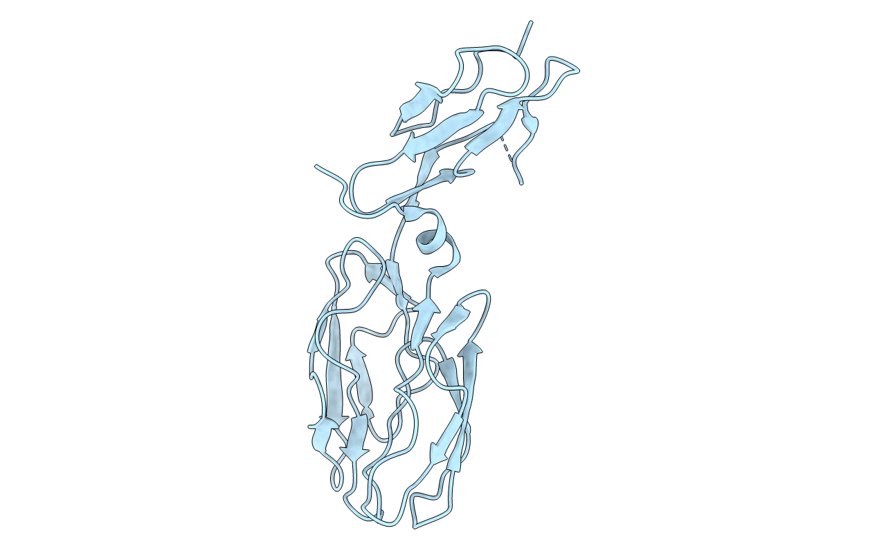 3ERB image