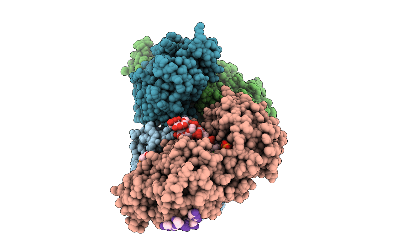 3ERC image