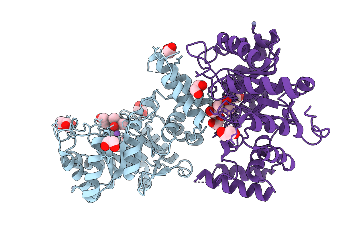3ERP image