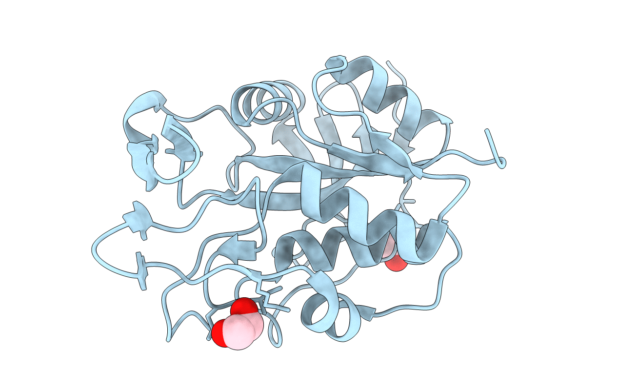 3ERV image