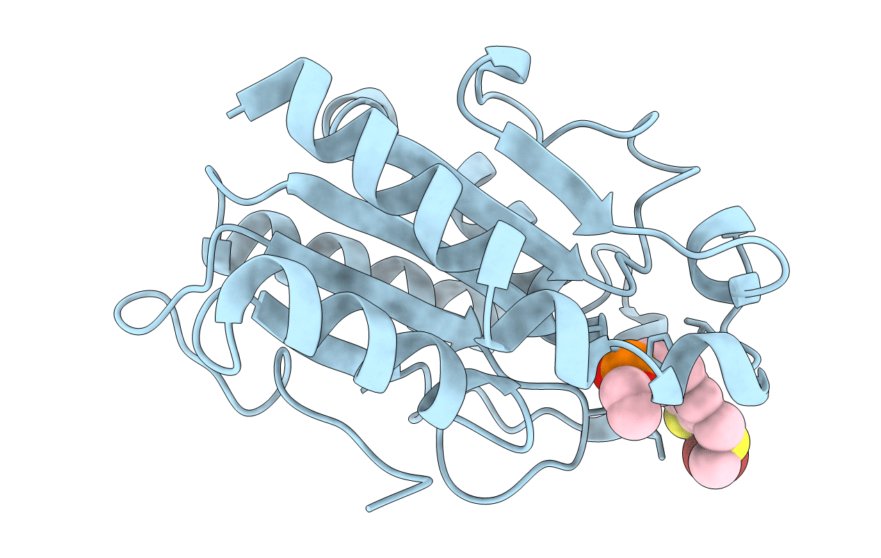 3ESC image