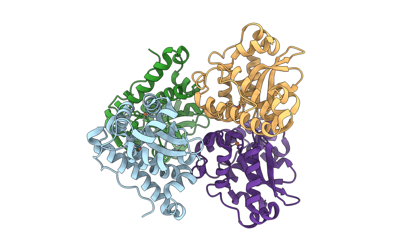 3ESF image