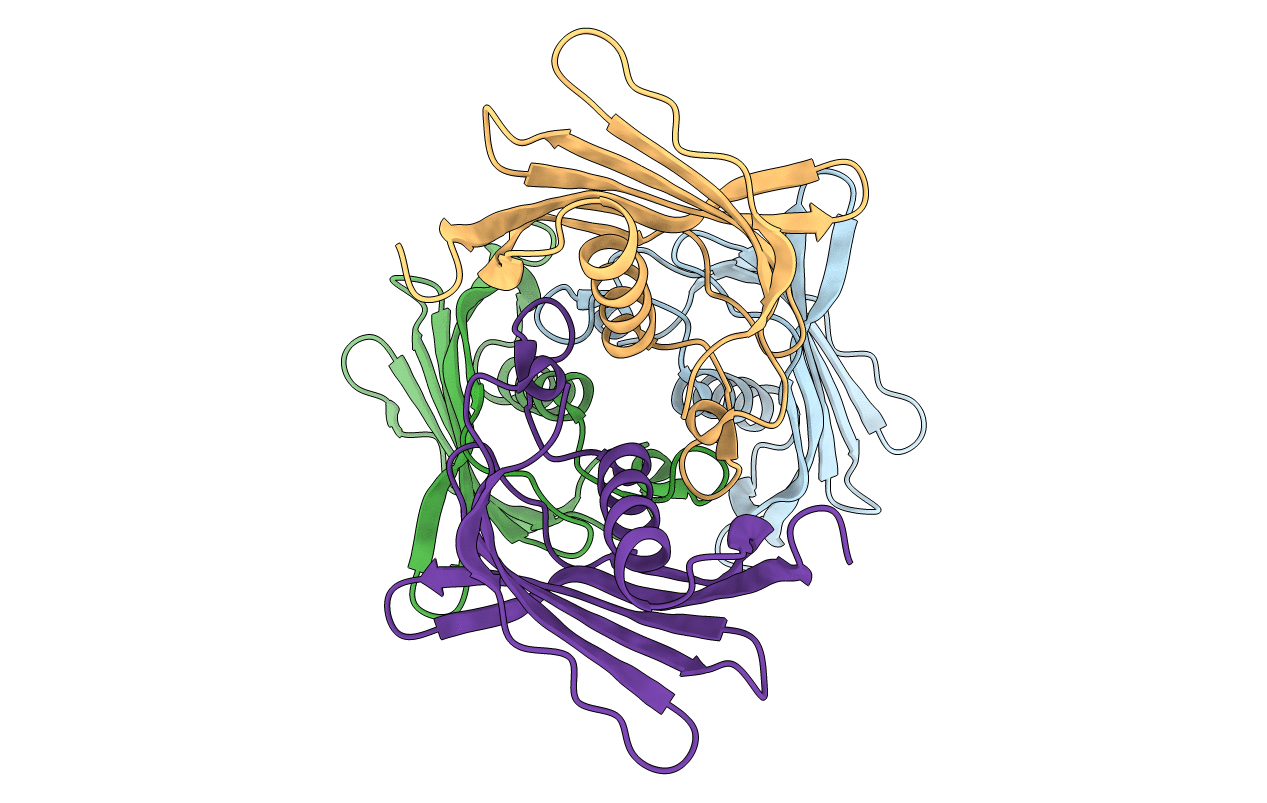 3ESI image