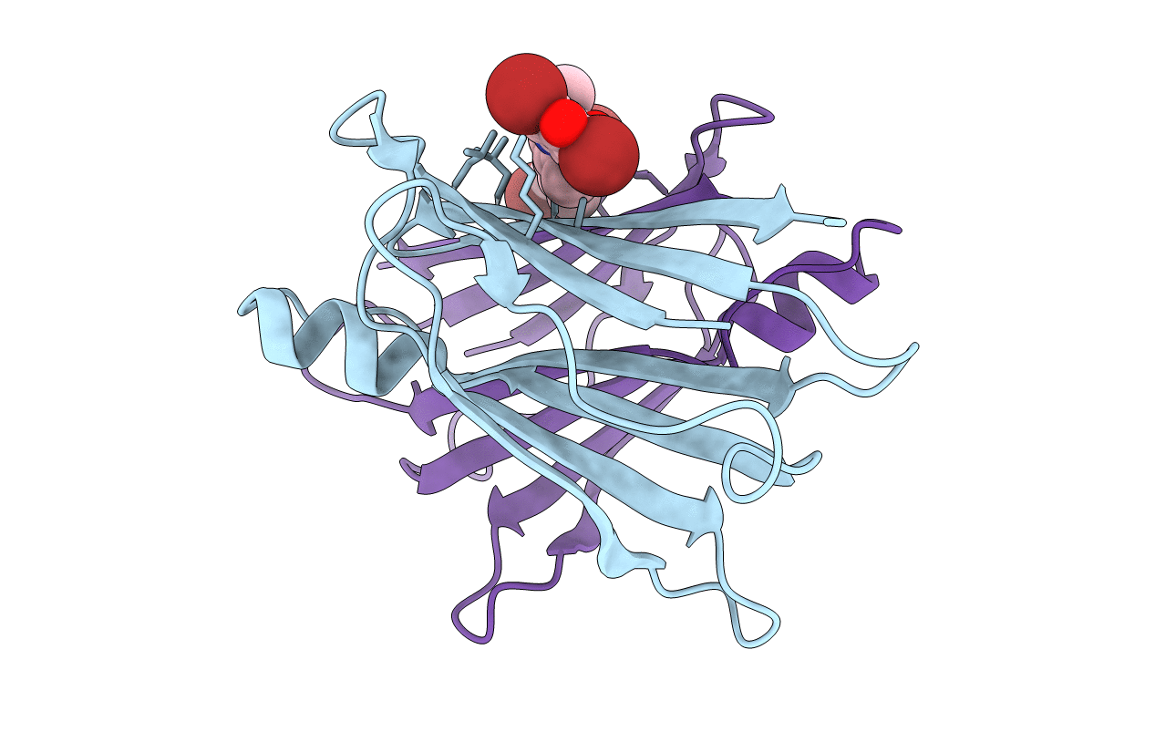 3ESN image