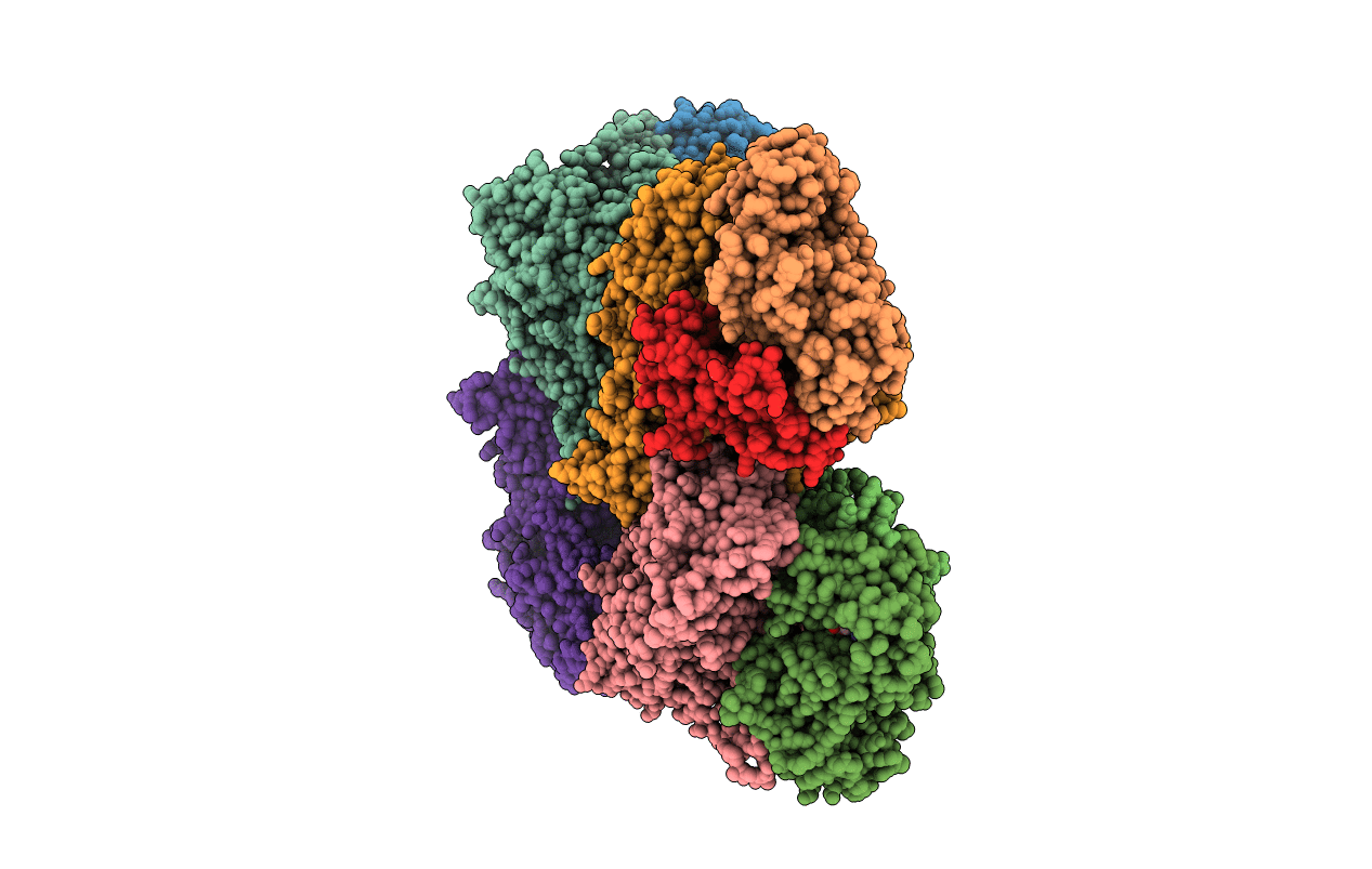 3EUB image