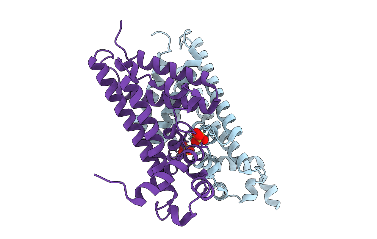 3EUP image