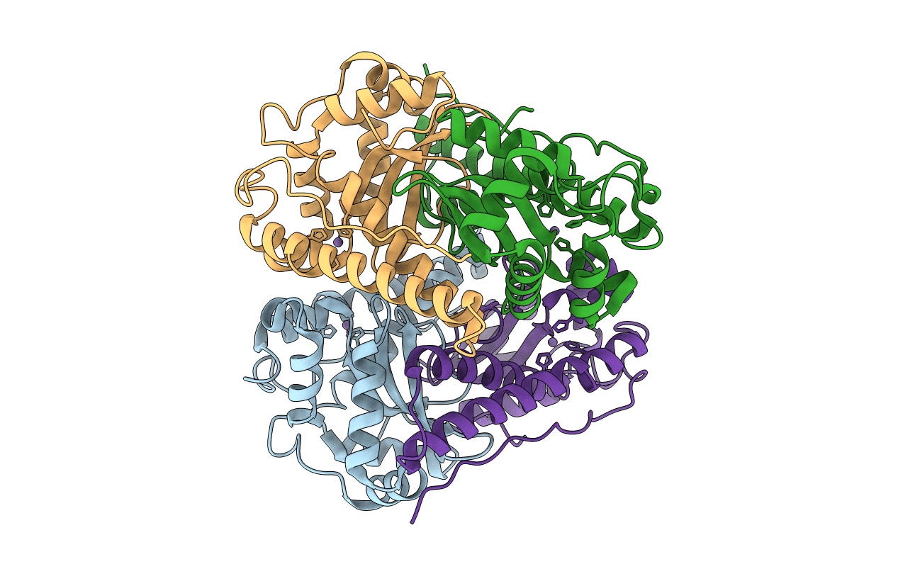 3EVK image