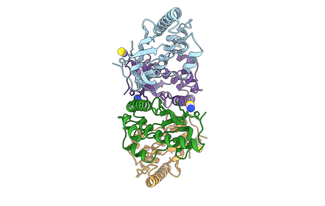 3EVX image