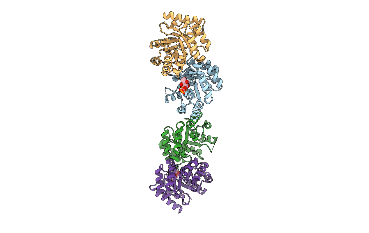 3EXS image