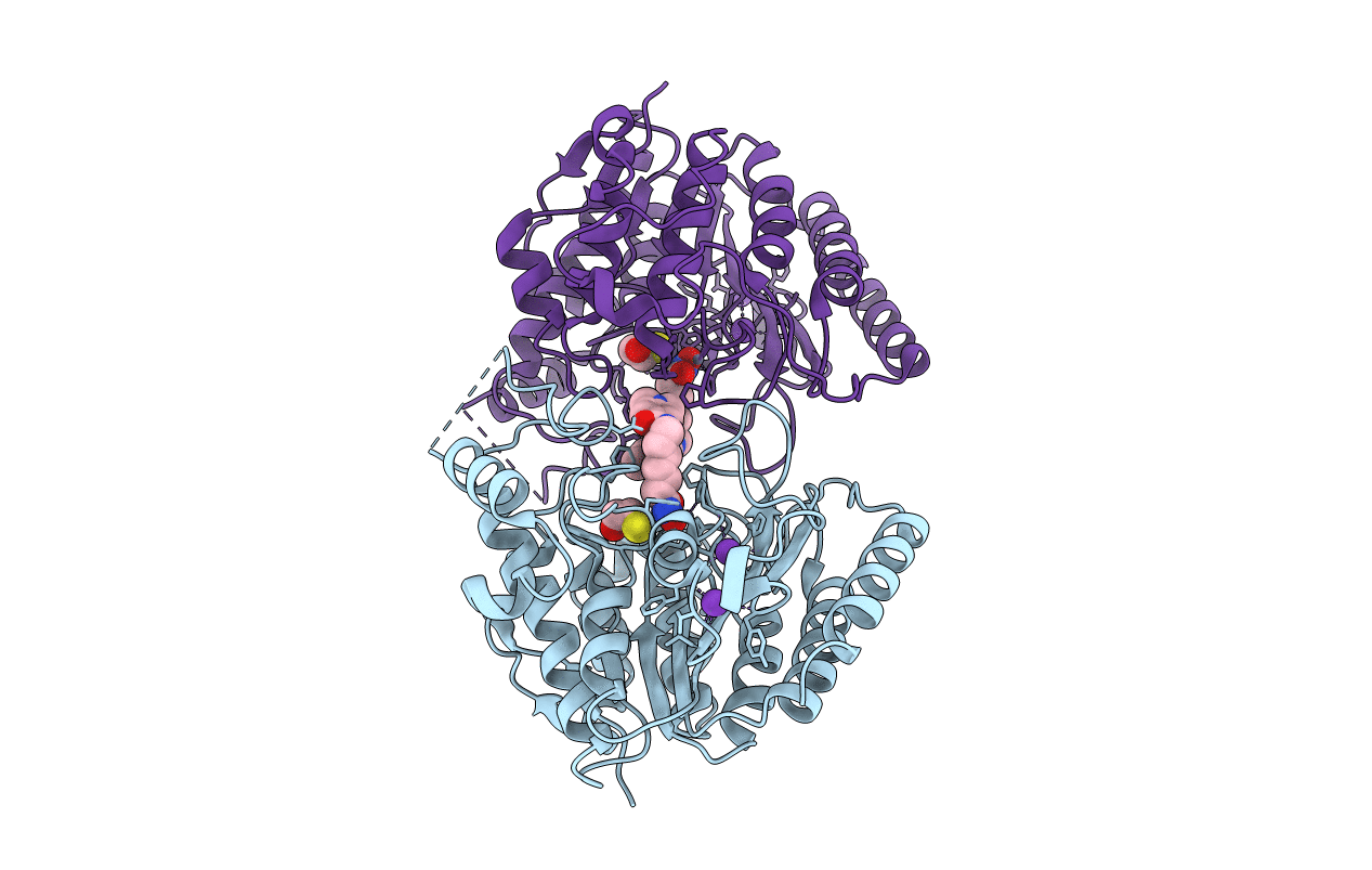 3EZP image