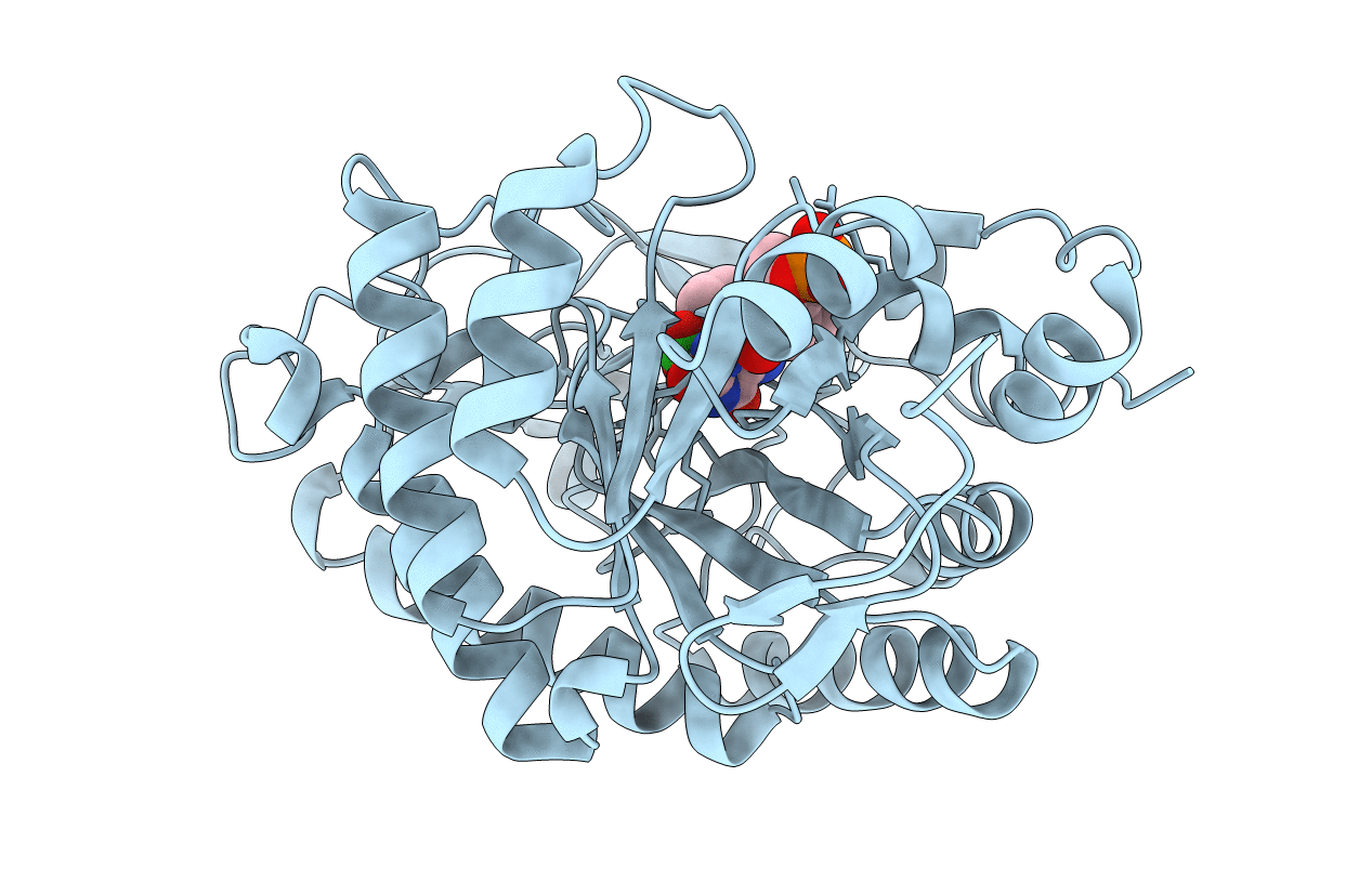 3F03 image